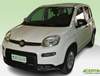 Torna in cima alla pagina