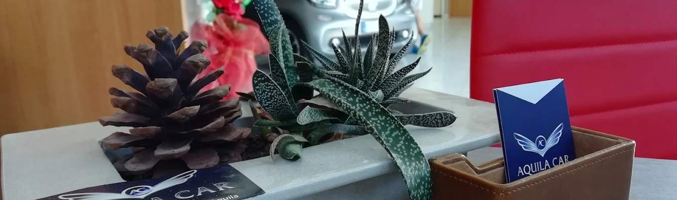 Scopri chi *siamo*