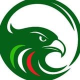 Falkomedia srl