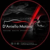 D'ANIELLO MOTORS SRLS