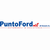 PuntoFord di Cesare A.