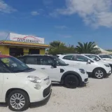 Carplurimarche Srls