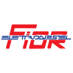 ELETTRODIESEL FIOR