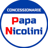 CONCESSIONARIE PAPA NICOLINI SRL