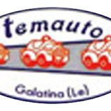 temauto