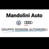 MANDOLINI AUTO S.P.A.