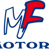 M.F. MOTORS & C. SRL