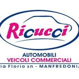 Ricucci Automobili