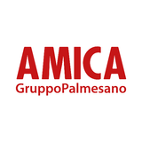 AMICA & C. SRL