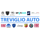 TREVIGLIO AUTO SRL