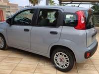 Fiat Panda HYBRID 65 CV POP Nero usata MONOPOLI