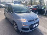 Fiat Panda Panda 1.0 firefly hybrid Grigio usata Mirano