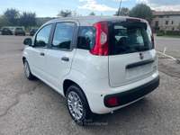 Fiat Panda FireFly S&S Hybrid S9 5P. PROMO KM0 PRONTA CONSEGNA Bianco usata Casalgrande
