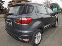Ford EcoSport TDCi 95 CV Plus *NEOPATENTATO* usata Calderara di Reno