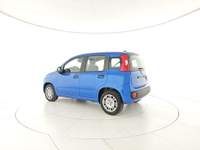 Fiat Panda Panda 1.0 FireFly S&S Hybrid + Pack city + Vernice Blu/Azzurro usata Capua