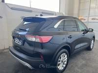 Ford Kuga Kuga 1.5 EcoBlue 120 CV aut. 2WD Titanium TUA DA 239,00 AL MESE Nero usata San Giuseppe Vesuviano