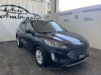 Ford Kuga Kuga 1.5 EcoBlue 120 CV aut. 2WD Titanium TUA DA 239,00 AL MESE Nero usata San Giuseppe Vesuviano