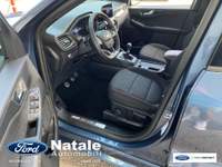 Ford Kuga ST-Line 1.5 Ecoblue 120 CV Blu/Azzurro usata Pignataro Maggiore