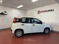 Fiat Panda ADATTA A NEOPATENTATI Bianco usata Roma