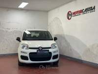 Fiat Panda ADATTA A NEOPATENTATI Bianco usata Roma