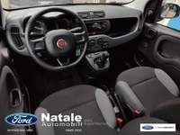 Fiat Panda 1.2 Easy 69 CV benzina Grigio usata Pignataro Maggiore
