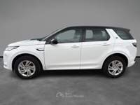 Land Rover Discovery Sport 163 CV AWD Auto R-Dynamic SE Bianco usata LECCE