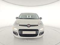 Fiat Panda 1.0 FireFly S&S Hybrid Bianco usata Capua