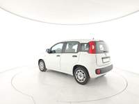Fiat Panda 1.0 FireFly S&S Hybrid Bianco usata Capua