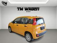 Fiat Panda firefly hybrid s - NEOPATENTATI Arancione usata Pistoia