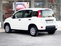 Fiat Panda Hybrid 70CV E6 Neo - 2024 Bianco usata Roma