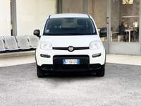 Fiat Panda Hybrid 70CV E6 Neo - 2024 Bianco usata Roma