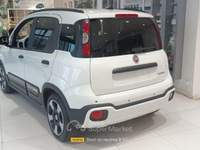 Fiat Panda FireFly S&S Hybrid Pandina usata Anzio