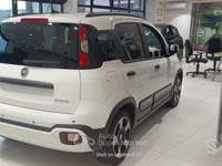 Fiat Panda FireFly S&S Hybrid Pandina usata Anzio