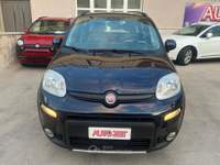 Fiat Panda S&S 4x4 Blu/Azzurro usata Castellana Grotte