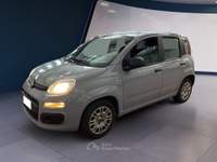 Fiat Panda III 2021 1.0 firefly hybrid s&s 70cv Grigio usata Torino