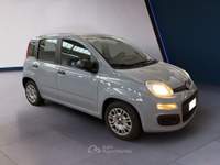 Fiat Panda III 2021 1.0 firefly hybrid s&s 70cv Grigio usata Torino