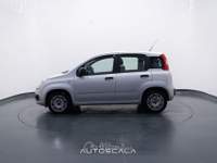 Fiat Panda New 1.2 GPL Lounge Grigio usata Pozzuoli