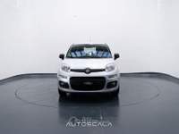 Fiat Panda New 1.2 GPL Lounge Grigio usata Pozzuoli