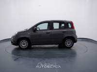 Fiat Panda New 1.0 FireFly City Life S&S Hybrid Grigio usata Pozzuoli