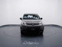 Fiat Panda New 1.0 FireFly City Life S&S Hybrid Grigio usata Pozzuoli