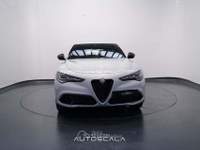 Alfa Romeo Stelvio 2.2 Turbodiesel 160cv AT8 RWD Sprint Grigio usata Nola