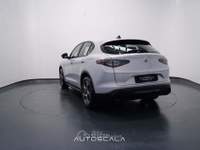 Alfa Romeo Stelvio 2.2 Turbodiesel 160cv AT8 RWD Sprint Grigio usata Nola