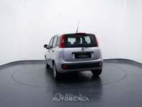 Fiat Panda New 1.2 GPL Lounge Grigio usata Nola