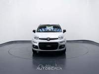 Fiat Panda New 1.2 GPL Lounge Grigio usata Nola