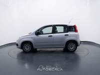 Fiat Panda New 1.2 GPL Lounge Grigio usata Nola