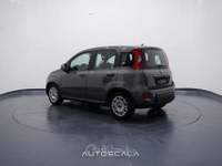 Fiat Panda New 1.0 FireFly City Life S&S Hybrid Grigio usata Nola
