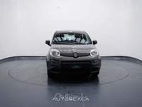 Fiat Panda New 1.0 FireFly City Life S&S Hybrid Grigio usata Nola