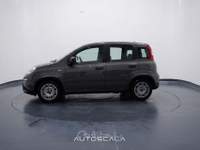 Fiat Panda New 1.0 FireFly City Life S&S Hybrid Grigio usata Nola