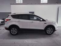 Ford Kuga Ford Kuga 2wd tdci ST-Line Bianco usata Faenza