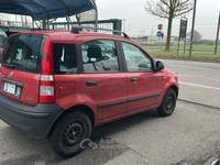 Fiat Panda Dynamic Rosso usata Torino